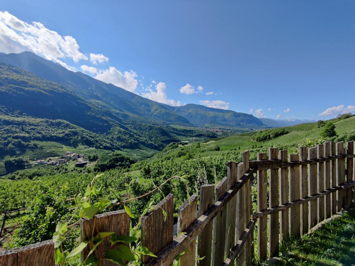 فيلا سبورماغيورفي Bio Agritur Al Bait المظهر الخارجي الصورة