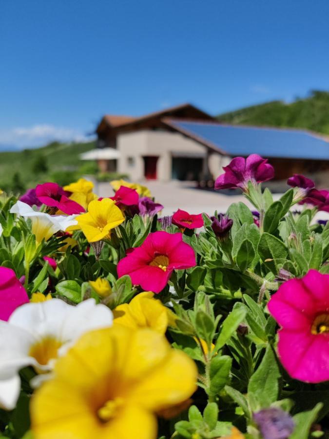 فيلا Bio Agritur Al Bait سبورماغيور المظهر الخارجي الصورة