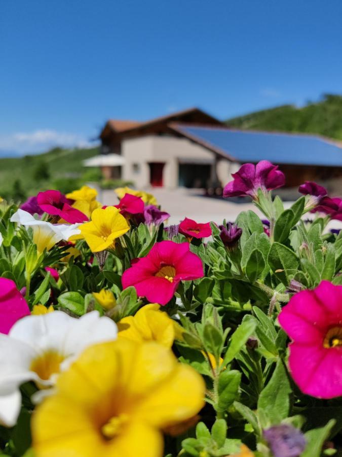 فيلا سبورماغيورفي Bio Agritur Al Bait المظهر الخارجي الصورة